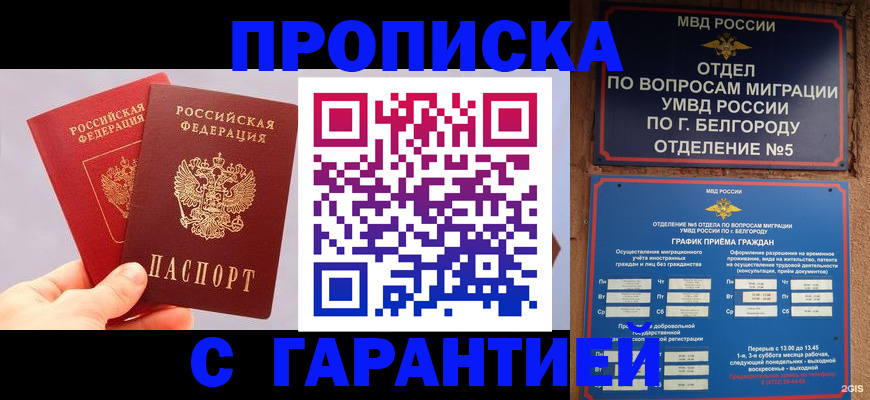 прописка 2025 в Светогорске